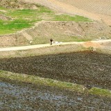 Agriculture up but still not enough