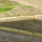 Agriculture up but still not enough